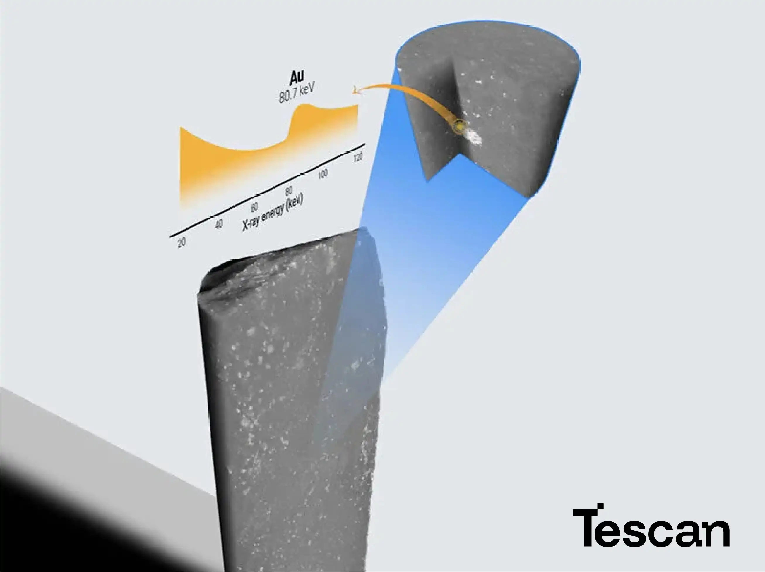 Tescan Specialized Applications